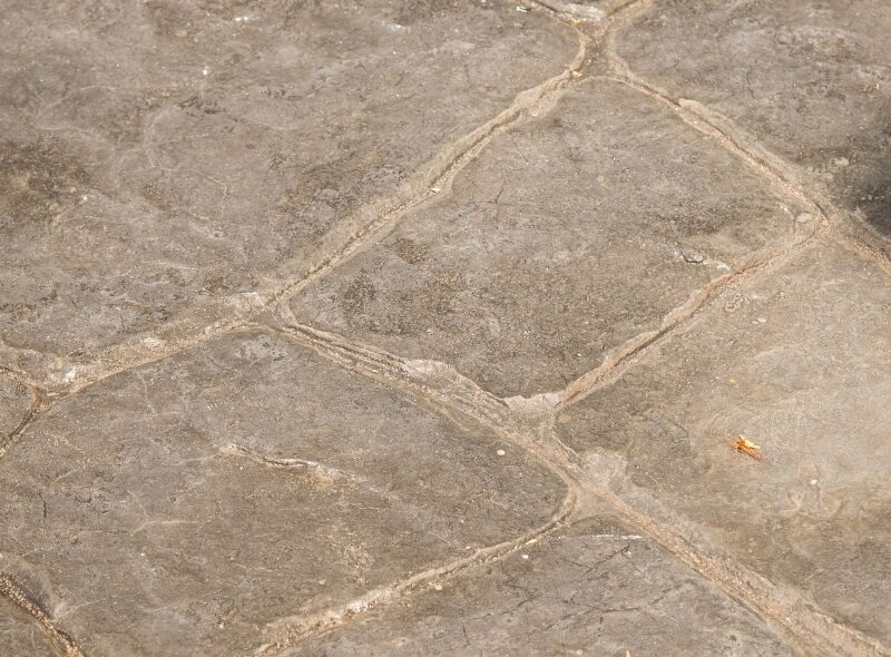 Stamped concrete services