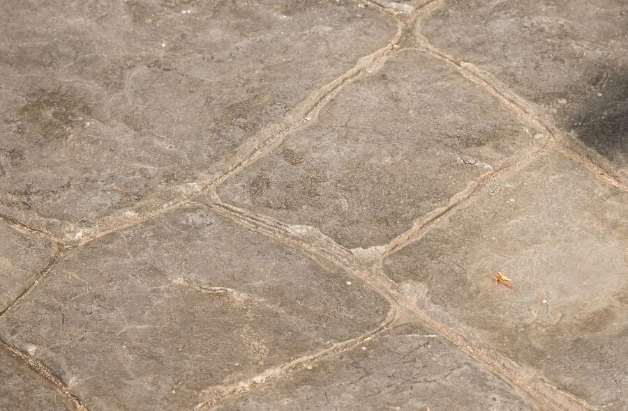 Stamped concrete services